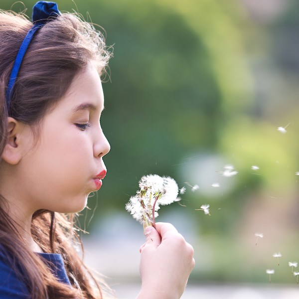 Shichi Go San, Shichi Go San Photo, Shichi Go San in Los Angeles, Kimono, Kimono no Kobeya, Kodomo no Ie, Kimono Rental in Los Angeles, 753