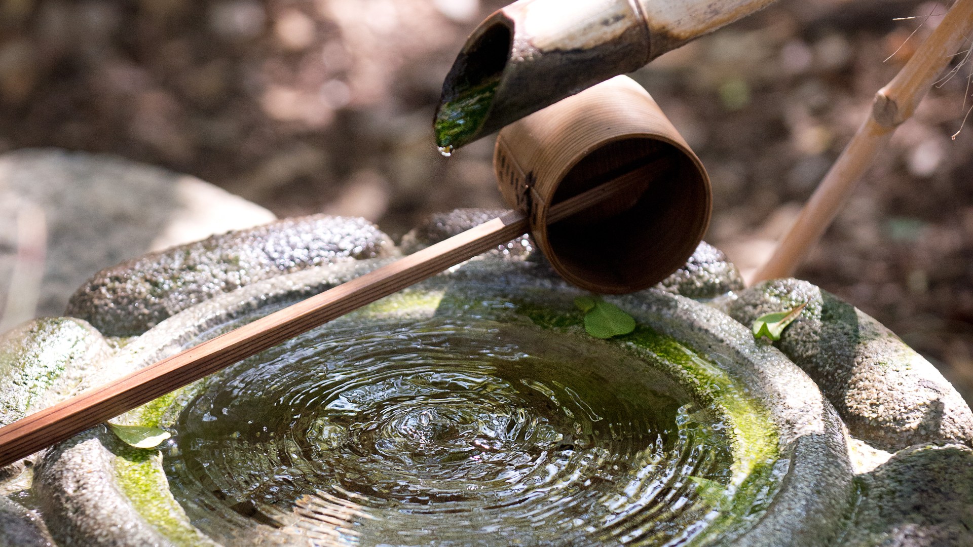 Storrier Stearns Japanese Garden, Kimono Photo Session, Pasadena