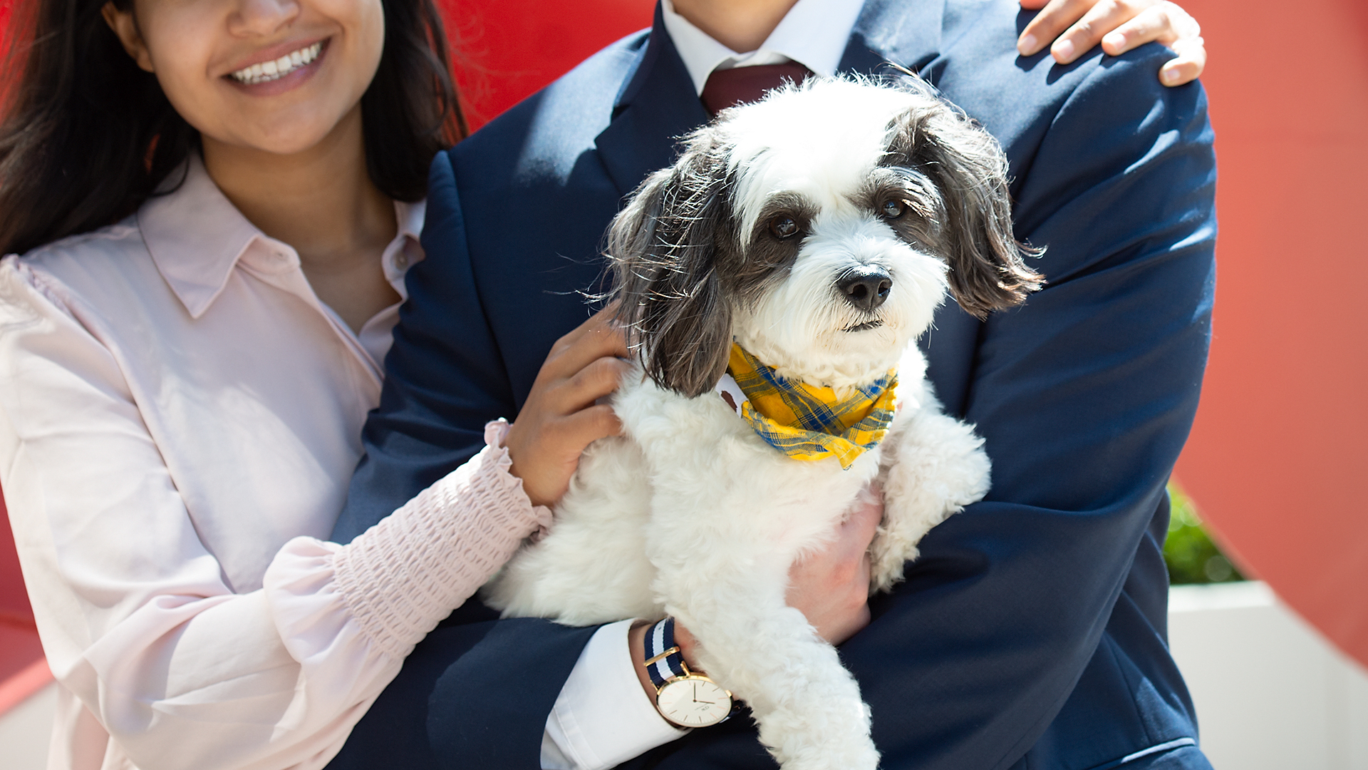 Business Portraits in Los Angeles, Business Portrait Photographer, Cooperate Headshots, LinkedIn, LinkedIn Portraits, Los Angeles Headshot Photographer, On location photographer,