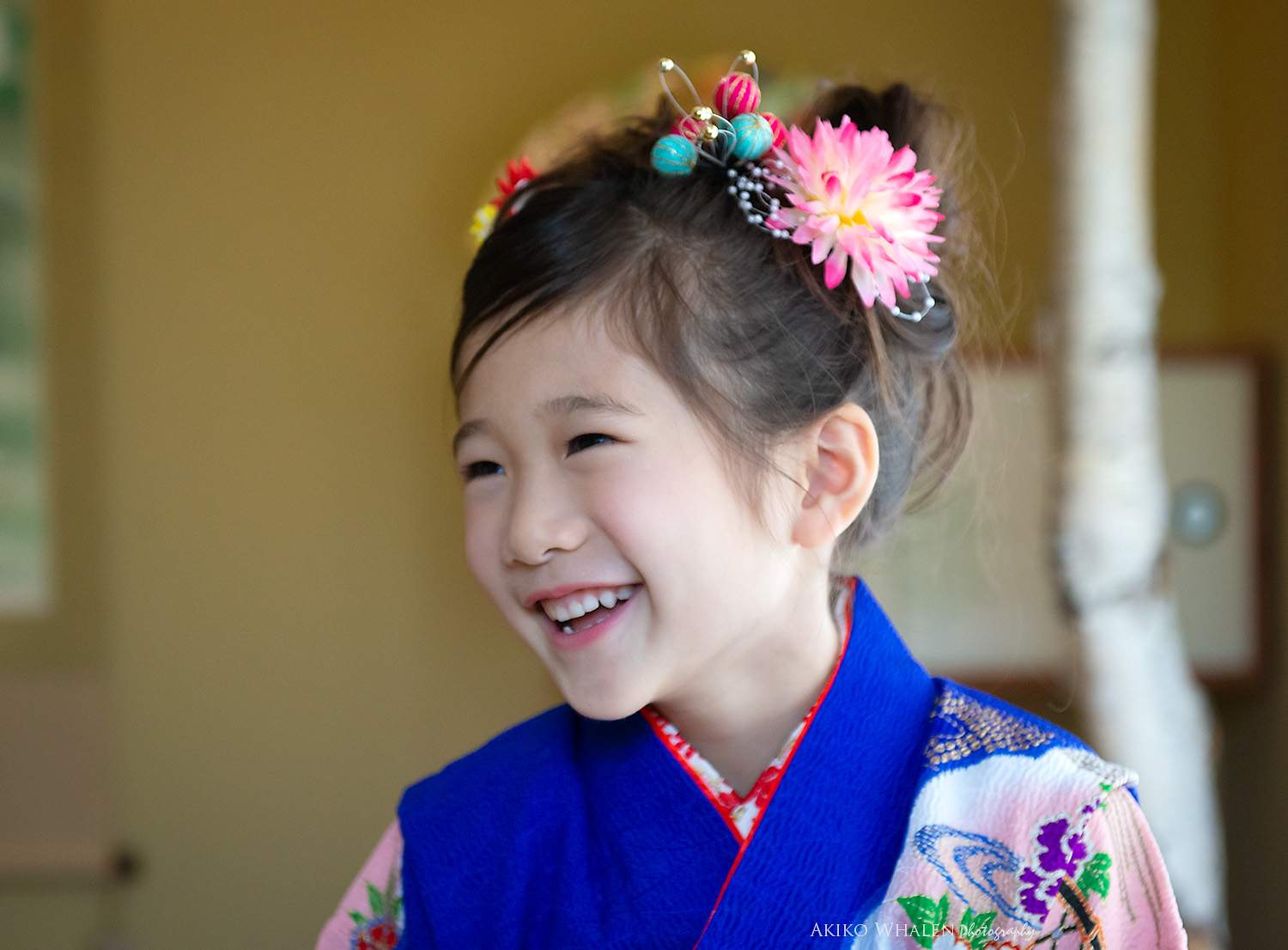 Shichi Go San Album, Shichi Go San, Seven Five Three, 753, Shichi Go San photos, Shichi Go San photographer in Los Angeles, Asahi Gakuen, Kodomonoie, Kimono, Kimono rental in LosAngeles, Kimono no kobeya, girl in kimono, Maruhachi, Senshuji, Nishihonganji, Japan, Japanese Style,