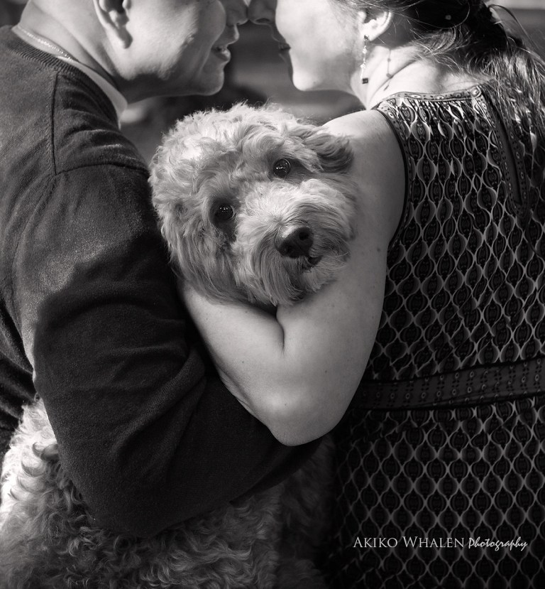 Maternity Photos, Maternity Photo Session, Pet Photography, Expecting something special, Maternity Photo Session with pets, Los Angeles Photographer, Akiko Whalen Photography, On location maternity session, Then and now photo session