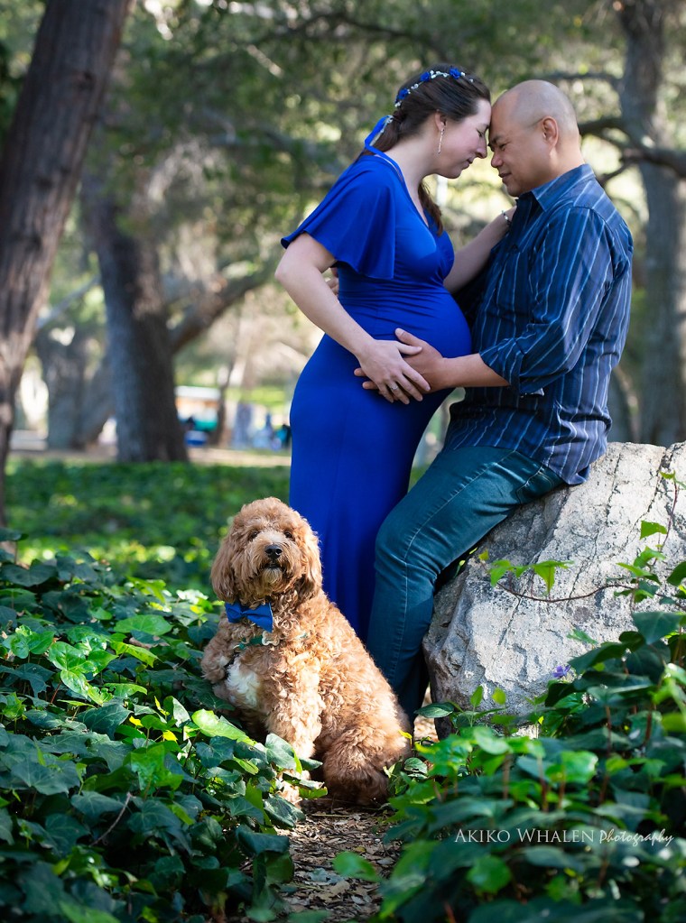Maternity Photos, Maternity Photo Session, Pet Photography, Expecting something special, Maternity Photo Session with pets, Los Angeles Photographer, Akiko Whalen Photography, On location maternity session, Then and now photo session