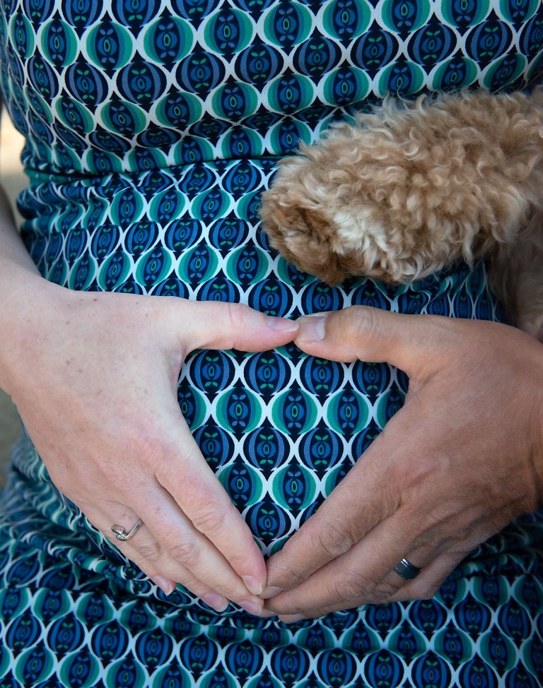 Maternity Photos, Maternity Photo Session, Pet Photography, Expecting something special, Maternity Photo Session with pets, Los Angeles Photographer, Akiko Whalen Photography, On location maternity session, Then and now photo session