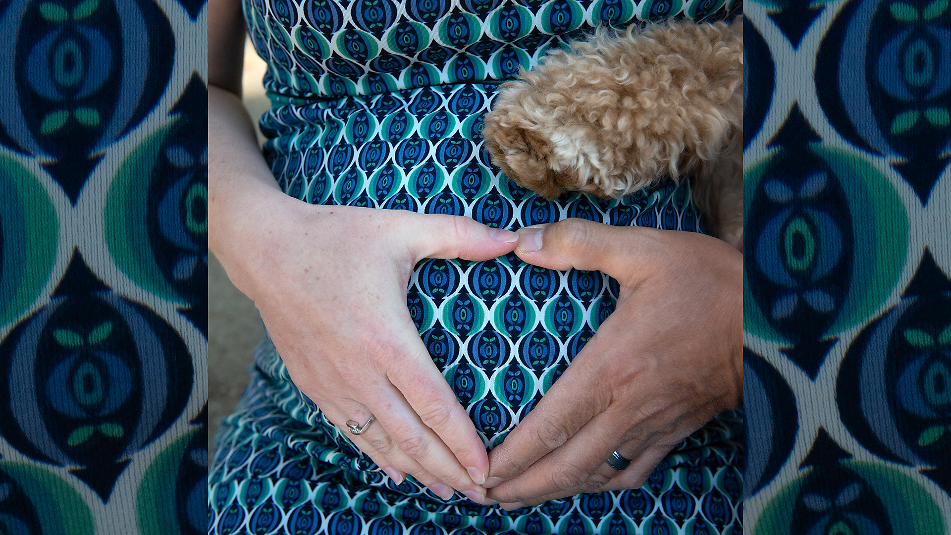 Maternity Photos, Maternity Photo Session, Pet Photography, Expecting something special, Maternity Photo Session with pets, Los Angeles Photographer, Akiko Whalen Photography, On location maternity session, Then and now photo session