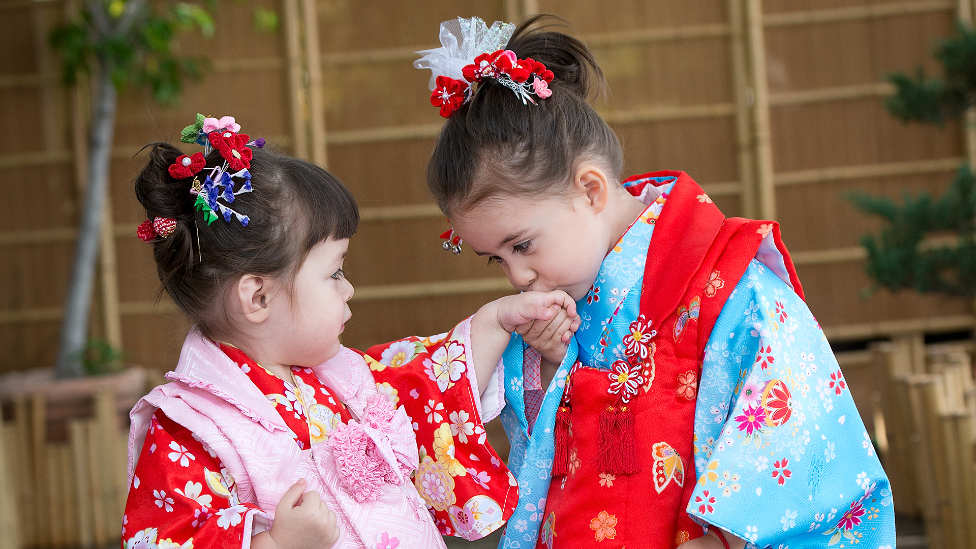 Shichi Go San, Shichi Go San photography, Shichi Go San photographer in Los Angeles, Japan, Kimono rentals, Family portraits, Japanese Kimono, 753, Seven Five Three, Celebration of growth in Japan, Happy Seven Five Three years old,